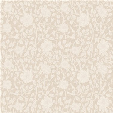 Anton Sandstone S10567