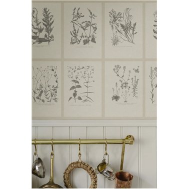 Botanica Graphite S10509