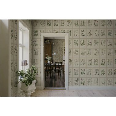 Botanica Oat S10508
