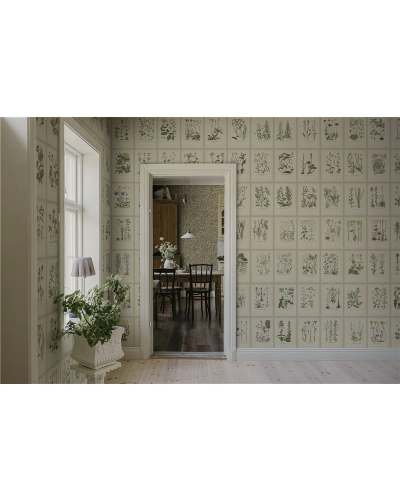 Botanica Oat S10508