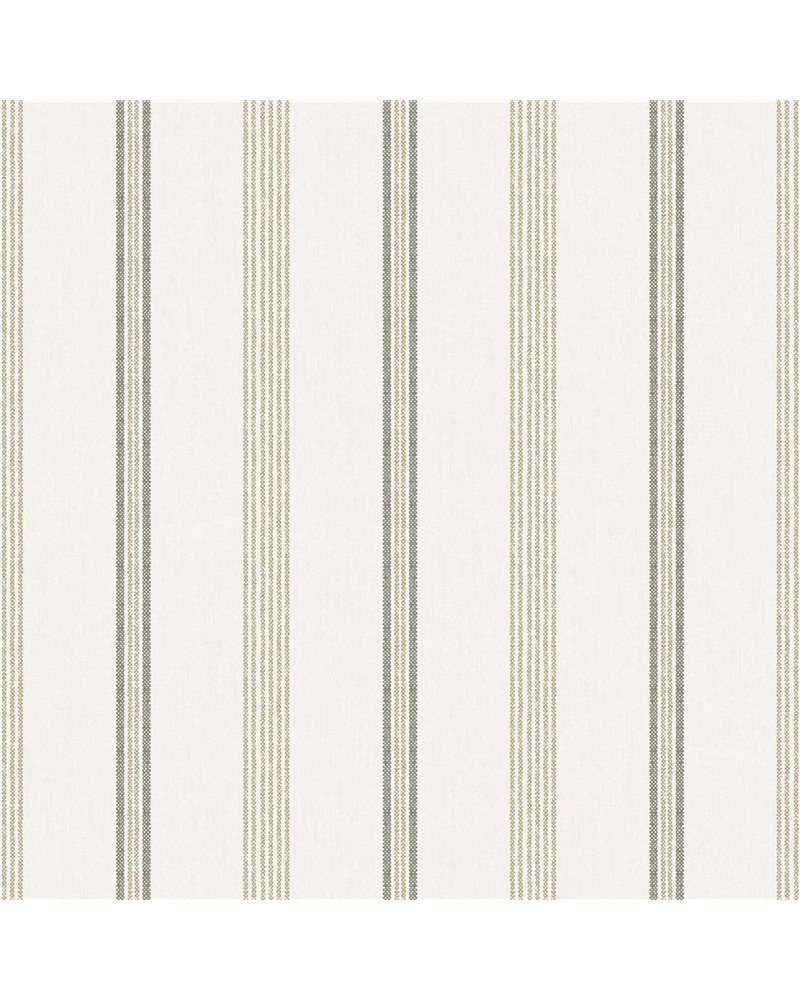 Top Stripes 38427