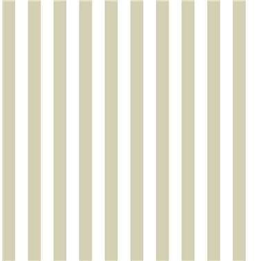 Top Stripes 38453