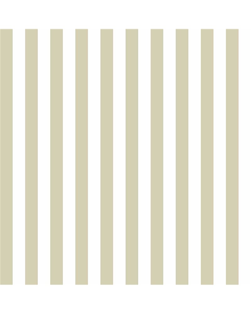 Top Stripes 38453
