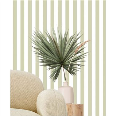 Top Stripes 38452