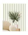 Top Stripes 38452