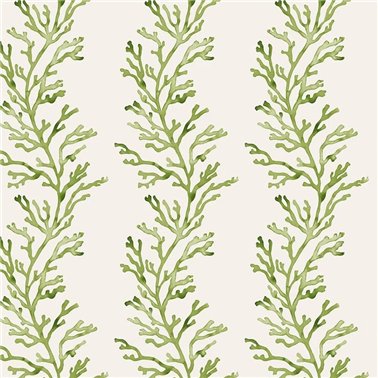 Kelp Green WP40411