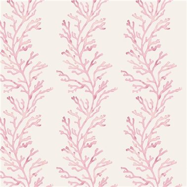 Kelp Pink WP40412