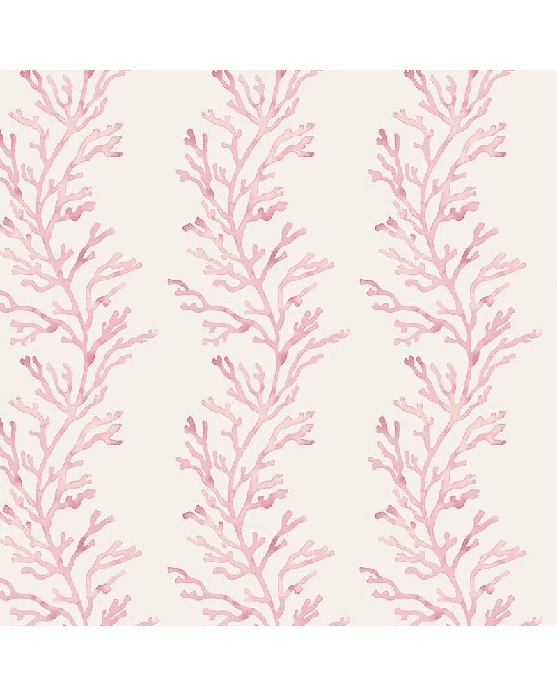 Kelp Pink WP40412 Kelp Pink WP40412