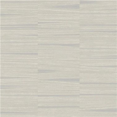 Line Stripe Gray OI0664