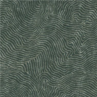 Modern Wood Forest OI0711