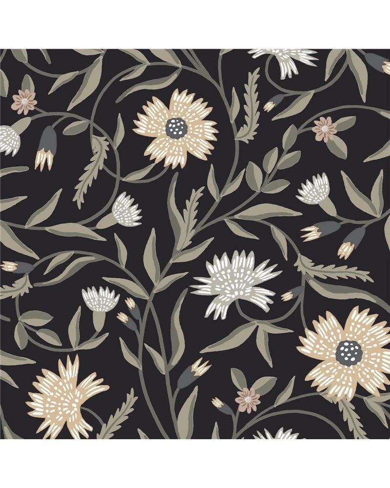 Aster Black RF7434 Aster Black RF7434