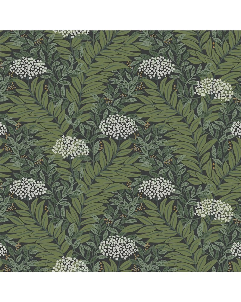 Highgrove Black RF7504 Highgrove Black RF7504