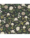 Roses Black RF7542