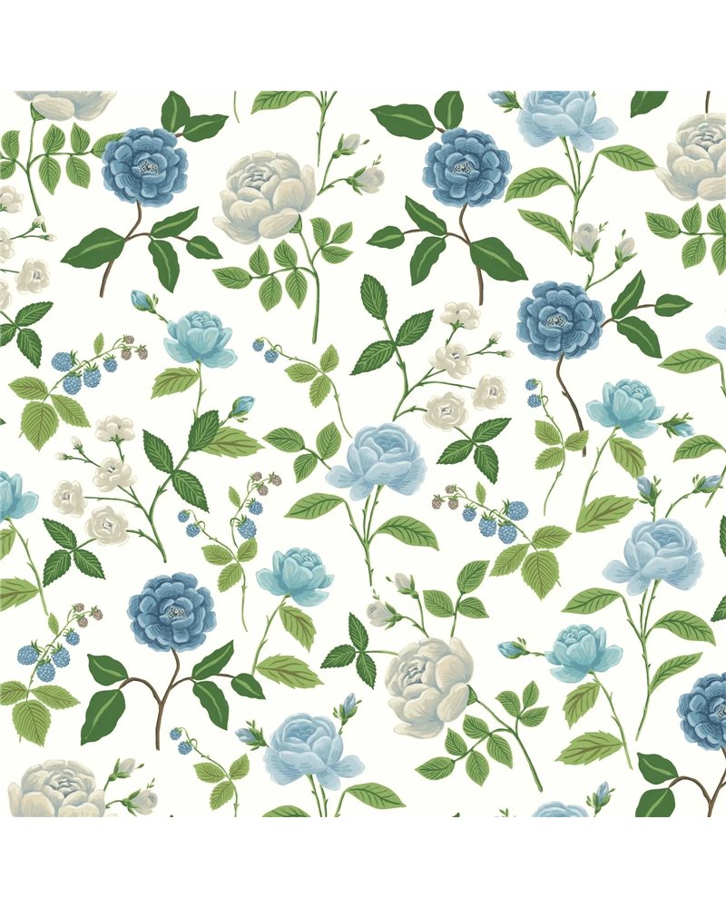Roses White & Blue RF7543 Roses White & Blue RF7543