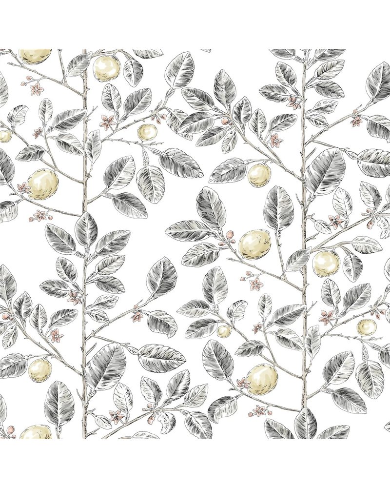 Limoncello Toile Black RT7912 Limoncello Toile Black RT7912