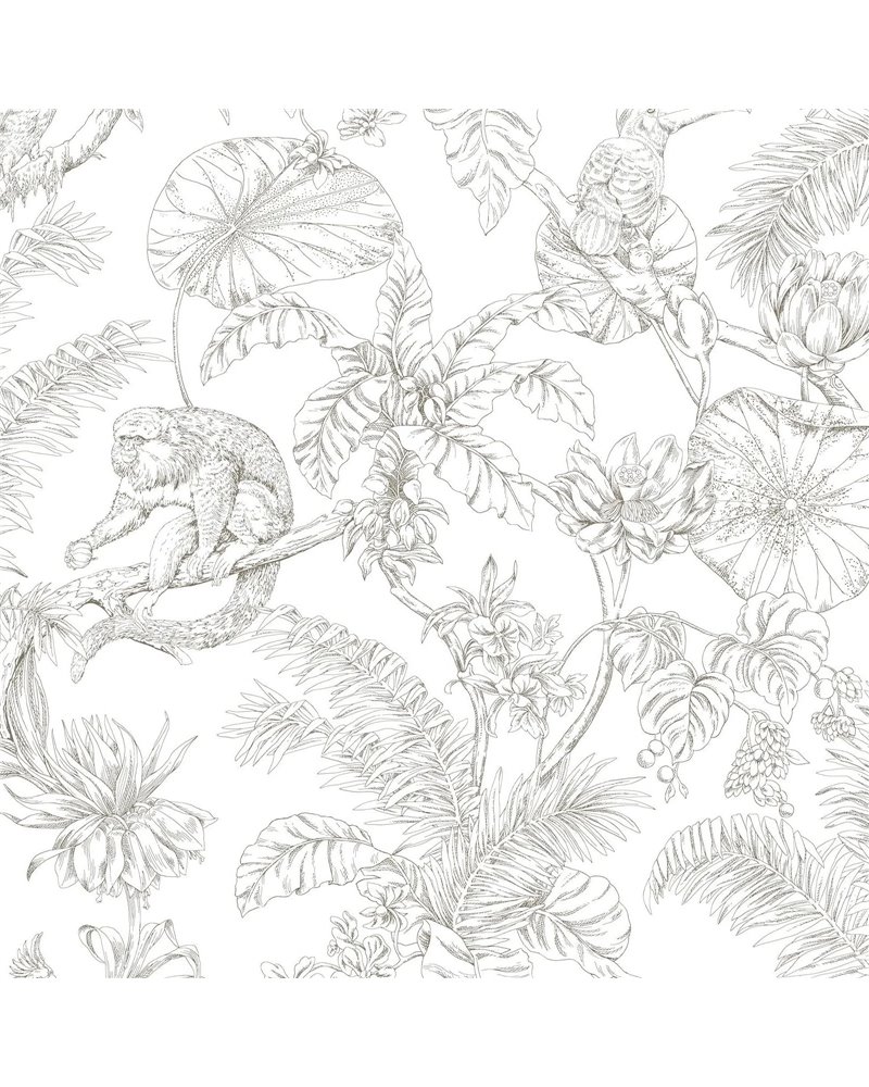 Tropical Sketch Toile Brown RT7843 Tropical Sketch Toile Brown RT7843