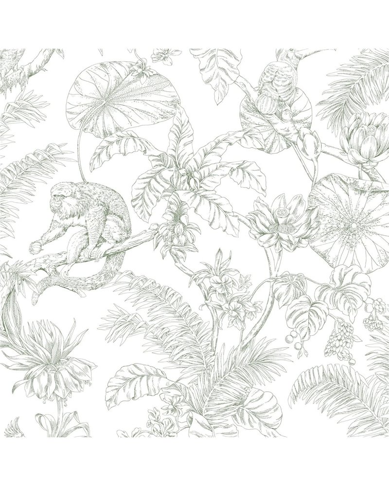 Tropical Sketch Toile Forest RT7842 Tropical Sketch Toile Forest RT7842
