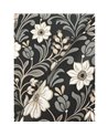 Colette Black MF4742