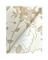 Gwendolyn Neutral Coral MF4752