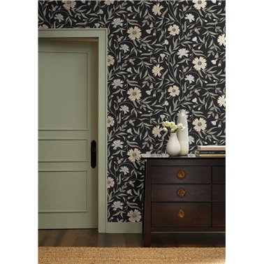 Aster Black RF7434