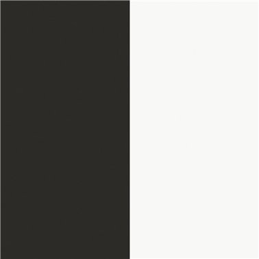 Faribault 1 Negro