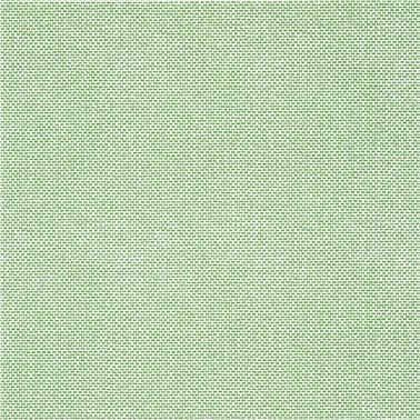 Palawan Green T16261