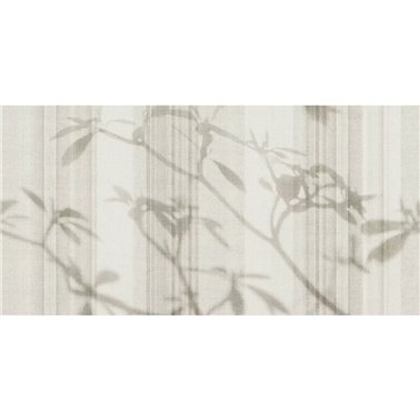 OTIUM SE32886-C