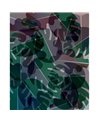 SAVANNA SE32964-014
