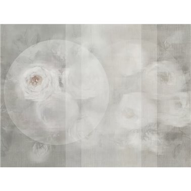 SU TELA SE31787-C