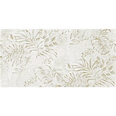 MAUI SE33529