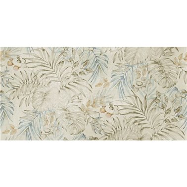 MAUI SE33529-C