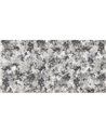 NOISETTE SE33464-C