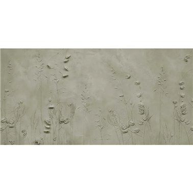 DRYAS NATURE  SE34180
