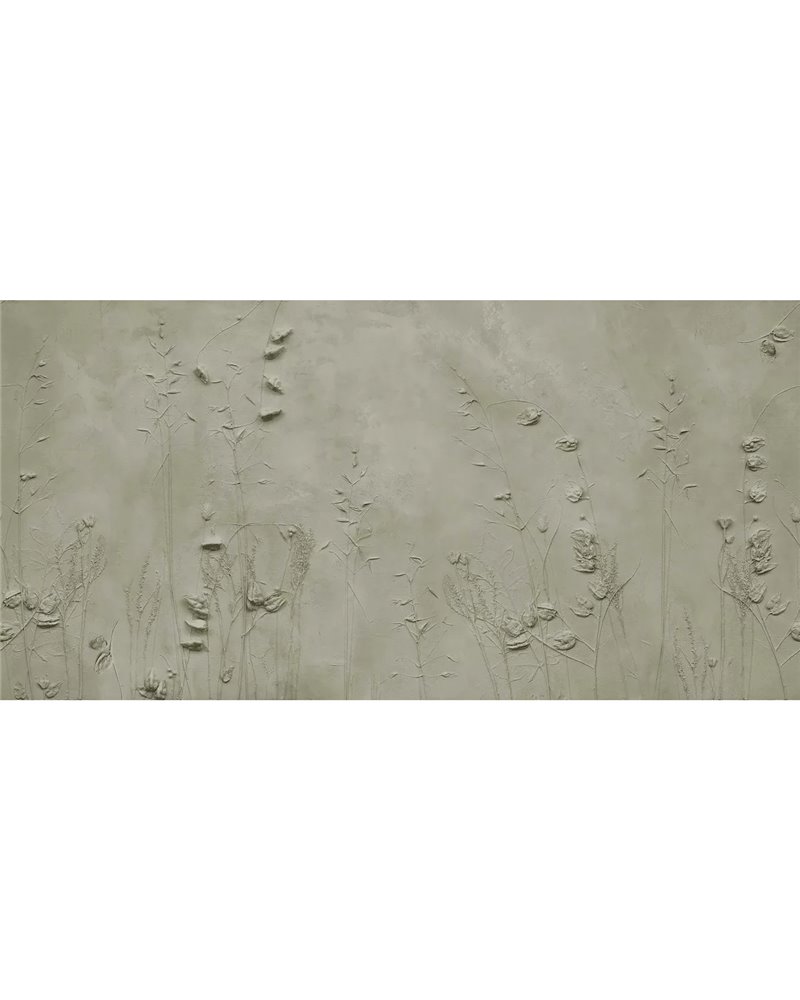 DRYAS NATURE SE34180 DRYAS NATURE SE34180