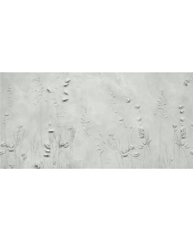DRYAS NATURE  SE34180-C