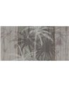 TROPICO DEL CANCRO SE34242