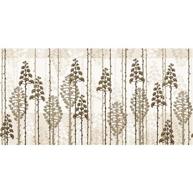 AGAVE SE34361-C