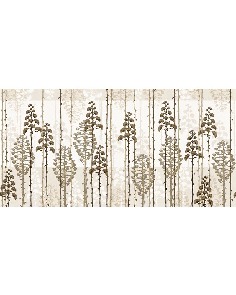 AGAVE SE34361-C
