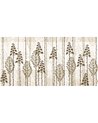 AGAVE SE34361-C