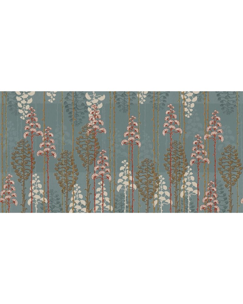 AGAVE SE34361-C1 AGAVE SE34361-C1