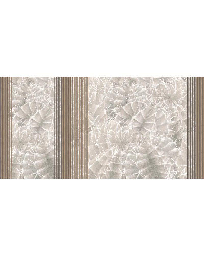 CACTUS RAPSODY SE34434 CACTUS RAPSODY SE34434