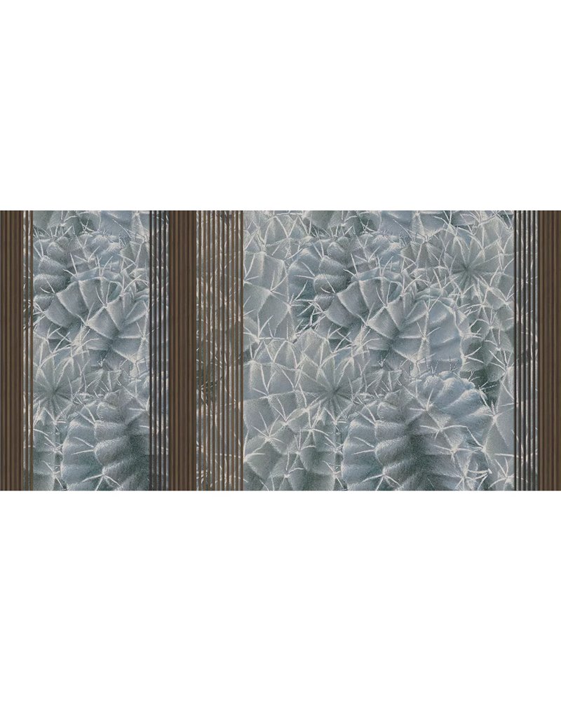 CACTUS RAPSODY SE34434-C