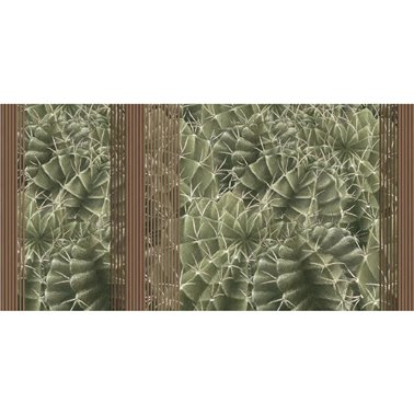 CACTUS RAPSODY SE34434-C1