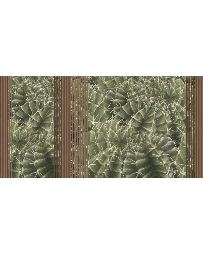 CACTUS RAPSODY SE34434-C1 CACTUS RAPSODY SE34434-C1