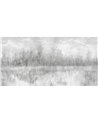 CONTEMPLAZIONE SE34466-