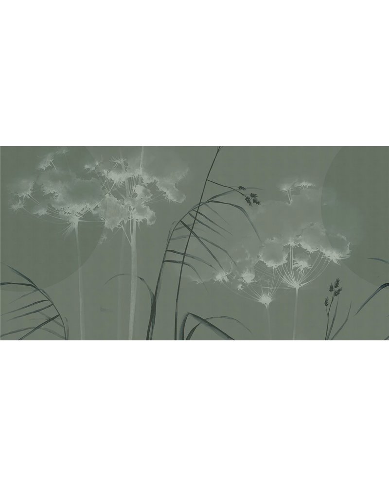 FIELD SE34436-C FIELD SE34436-C