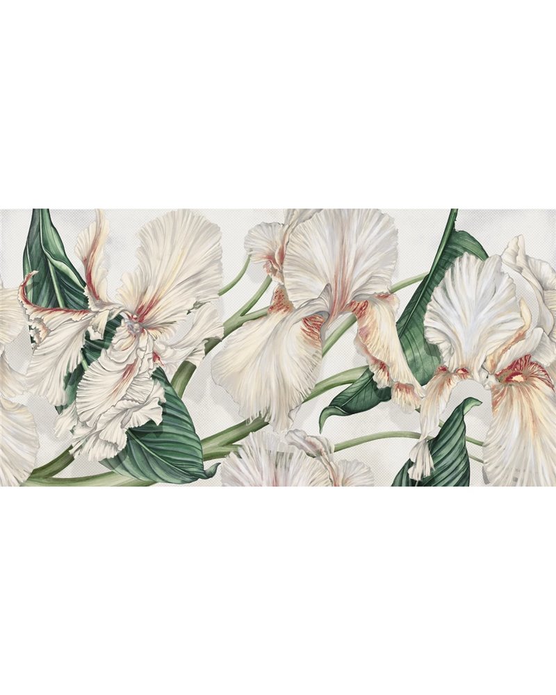 WILD IRIS SE34409 WILD IRIS SE34409