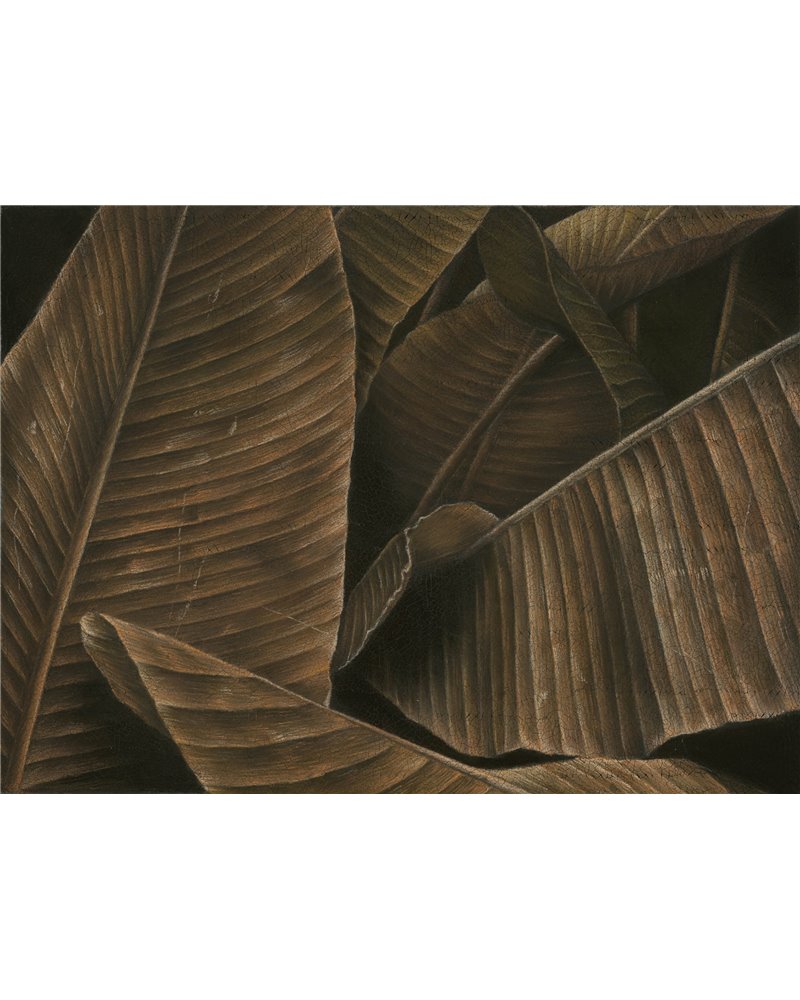 AUTUMN-LEAVES SE32118