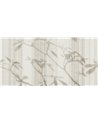 OTIUM SE32886-C