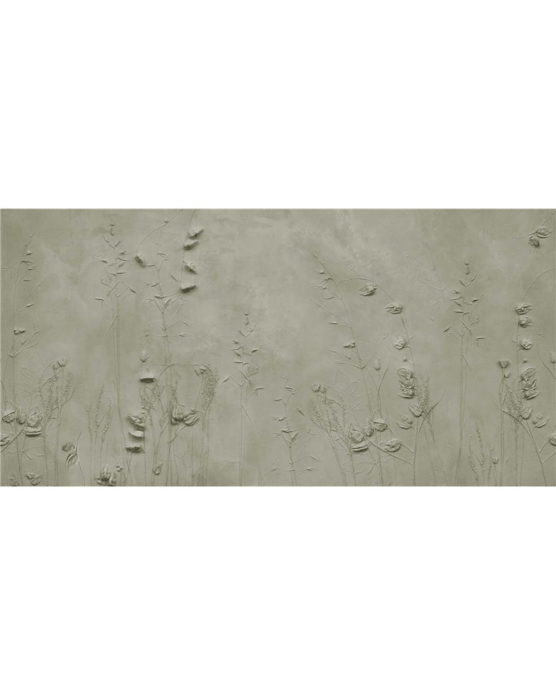 DRYAS NATURE  SE34180